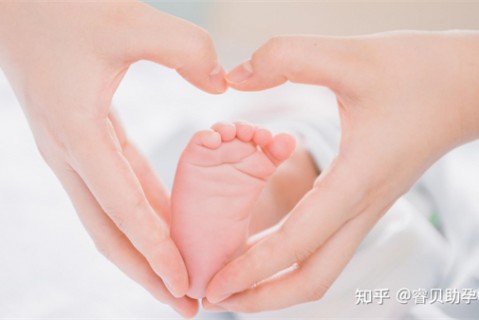 http://shijiazhuang.51dzb.net/post/188.html|石家庄新闻中心