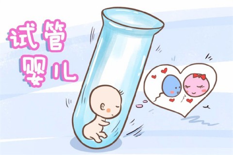 http://shijiazhuang.51dzb.net/post/212.html|石家庄新闻中心